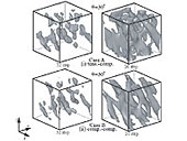 }2 Trabecular pattern formation using a reaction-diffusion system model. 