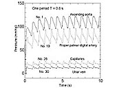 }5 Computed Pressure signals in different blood vessels. 