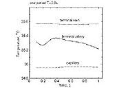 }6 Temperatures in the artery, vein, and capillary of the finger model.