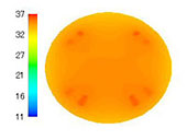 }7 Temperature distribution in the solid tissues of the finger model. 