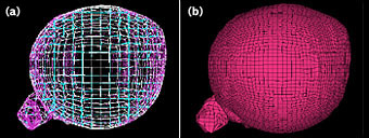 }4 Mapped Mesh Method:(a)Template Box,(b)Mapped Mesh