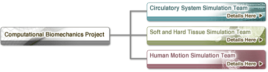 Organization Chart