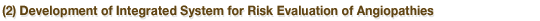(2) Development of Integrated System for Risk Evaluation of Angiopathies