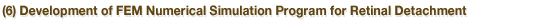 (6) Development of FEM Numerical Simulation Program for Retinal Detachment