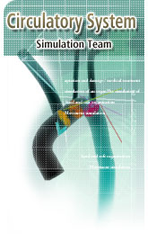 Circulatory System Simulation